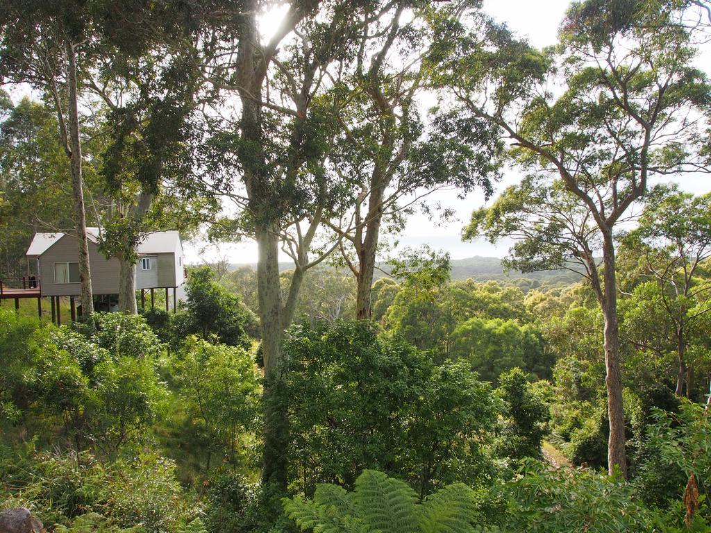 Bundle Hill Cottages Bawley Point Quarto foto